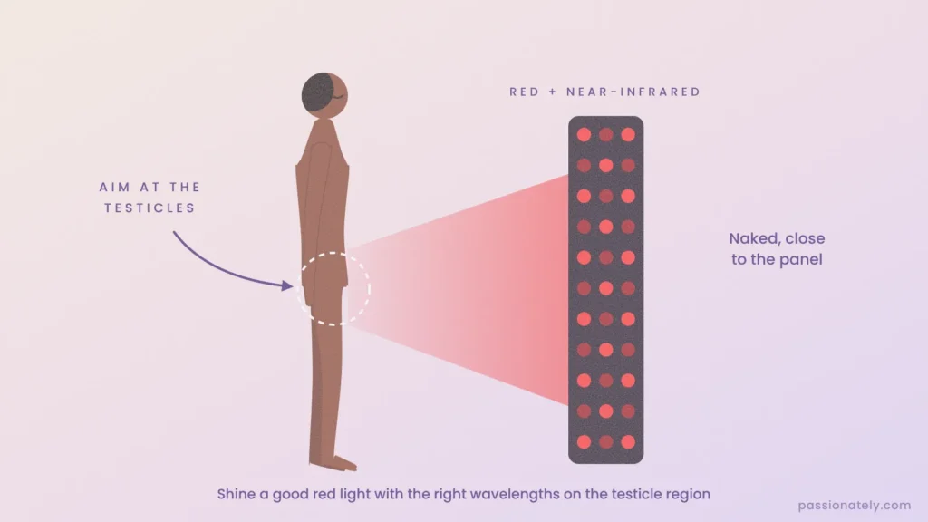 Illustration of a man standing in front of a red light panel aimed at the testicle region