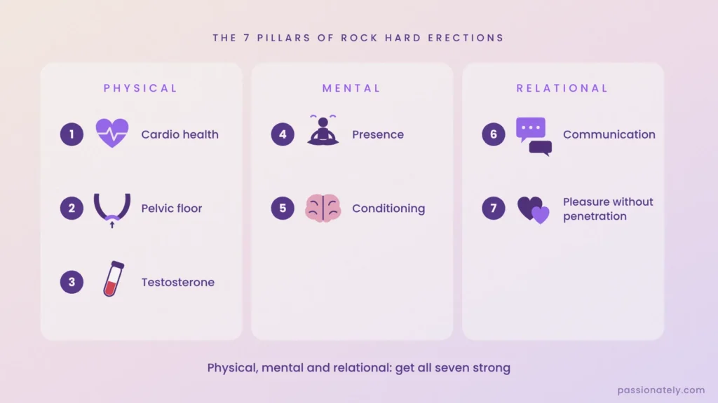 The 7 pillars of rock hard erections grouped into physical, mental and relational