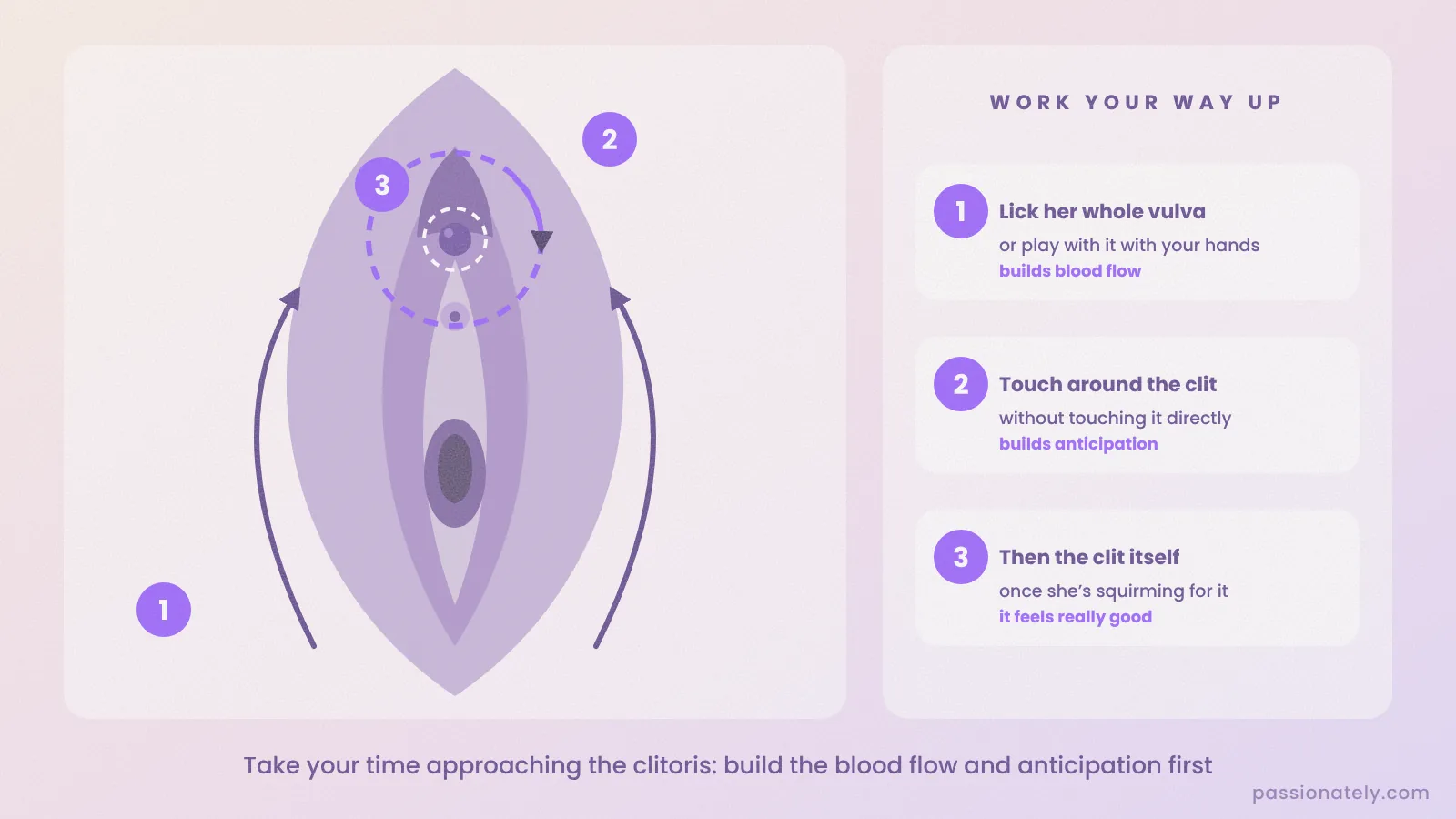 Diagram of the vulva with numbered arrows: lick the whole vulva, circle around the clitoris, then touch the clitoris itself