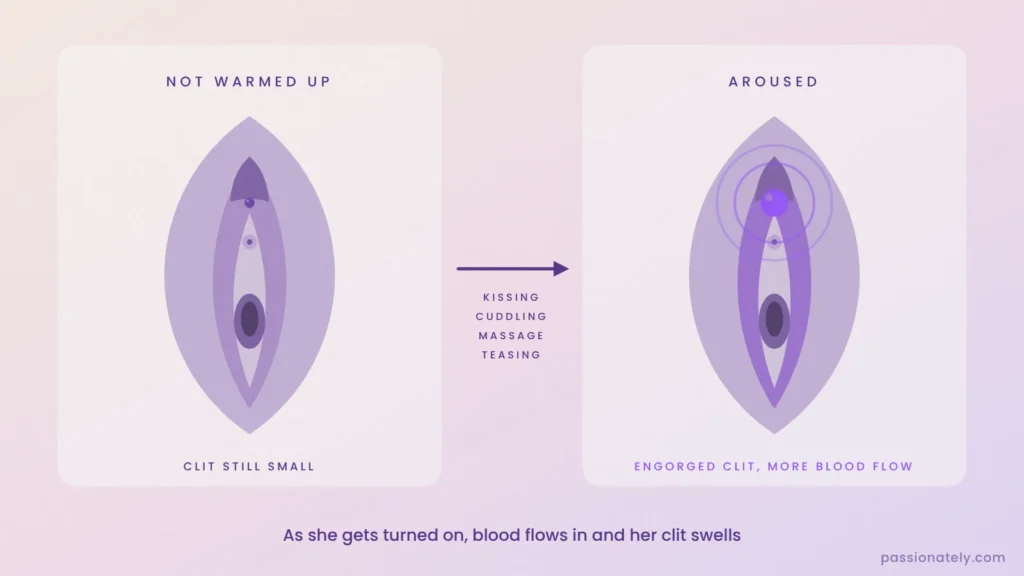 Vulva diagram before and after arousal, with a small clit before and an engorged clit after