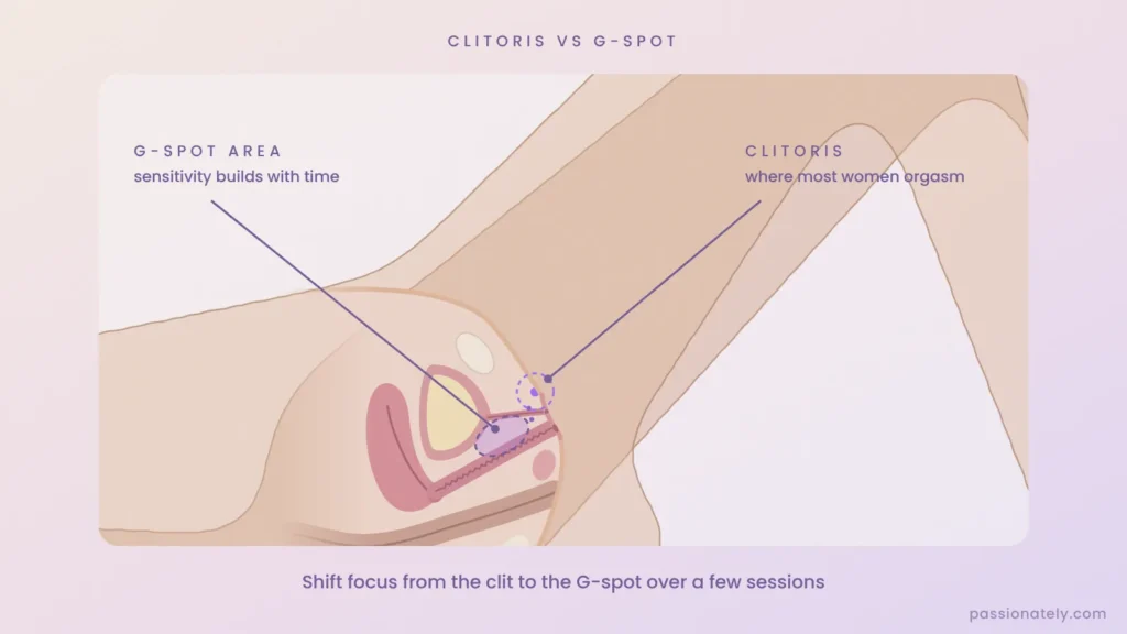 Cross-section illustration showing the clitoris, where most women orgasm, and the G-spot area on the roof of the vagina