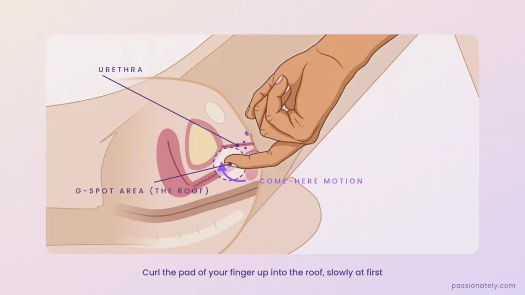Cross-section diagram of a curled middle finger doing the come-here motion on the G-spot area on the roof of the vagina
