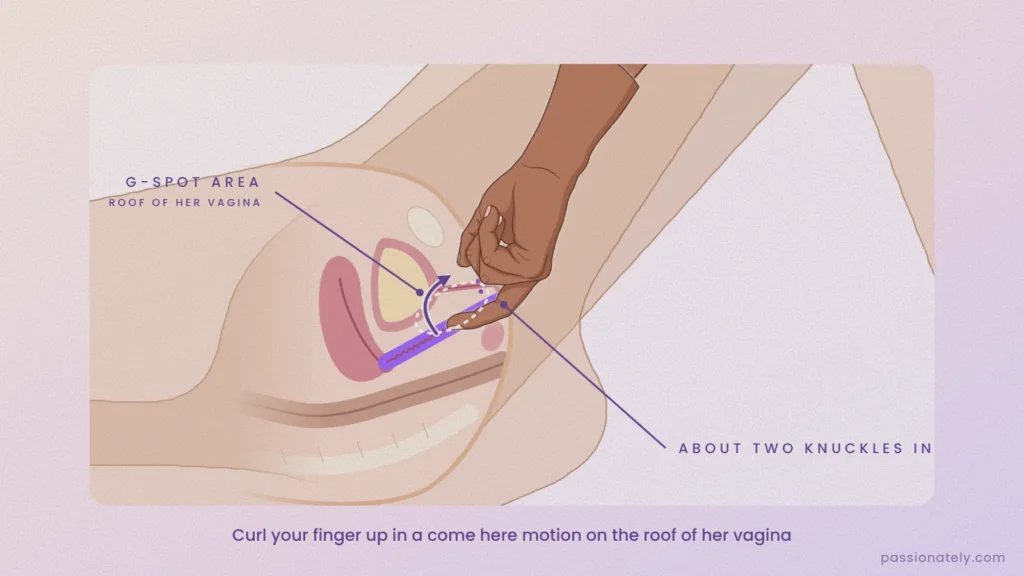 Cross-section illustration of the come here motion: one finger about two knuckles in, curling up into the G-spot area on the roof of the vagina