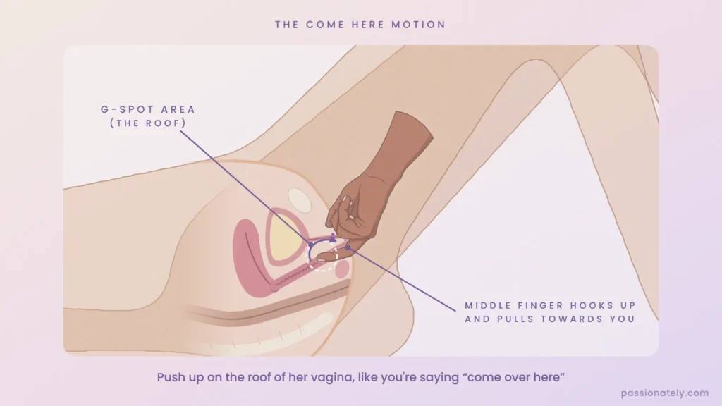 Cross-section diagram of the come here motion: middle finger hooked up into the G-spot area on the roof of the vagina