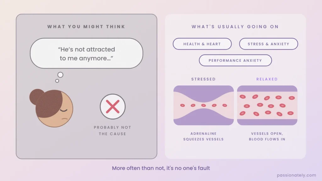 Diagram comparing the worry that he is not attracted to her with the real causes of ED: stress and adrenaline squeezing his blood vessels