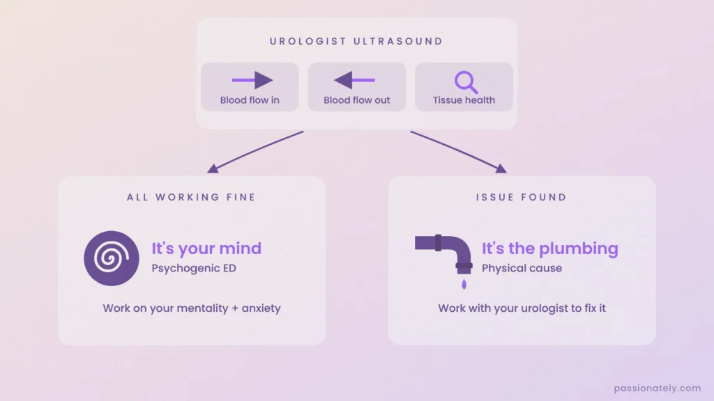 Flowchart of a urologist ultrasound checking blood flow in, blood flow out and tissue health, pointing to either psychogenic ED or a physical cause
