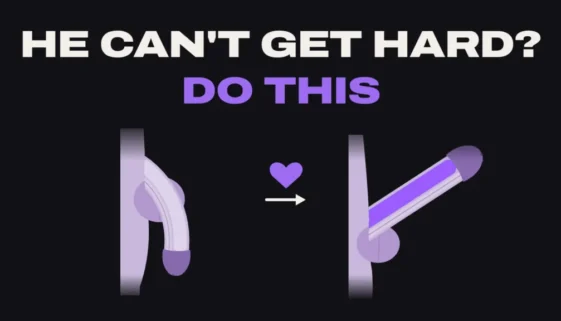 Side-view diagram of a soft penis next to an erect penis, with a heart and an arrow between them