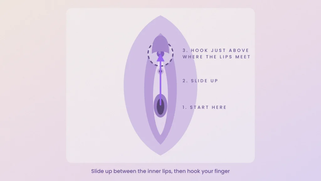 Diagram of a finger sliding up between the inner lips from the vaginal opening to just below the clitoris head