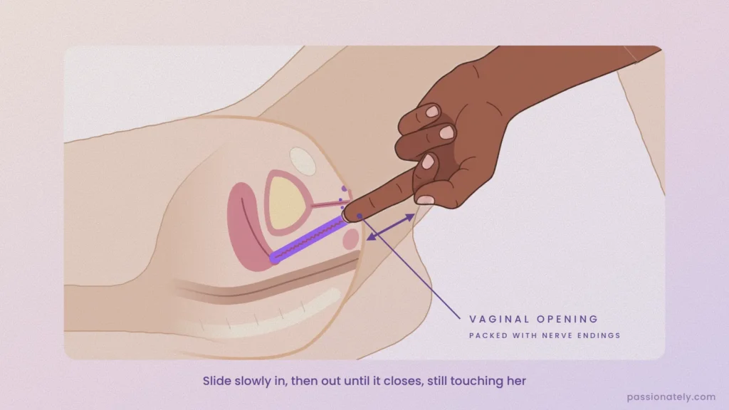 Cross-section illustration of a finger sliding slowly in and out of the vaginal opening