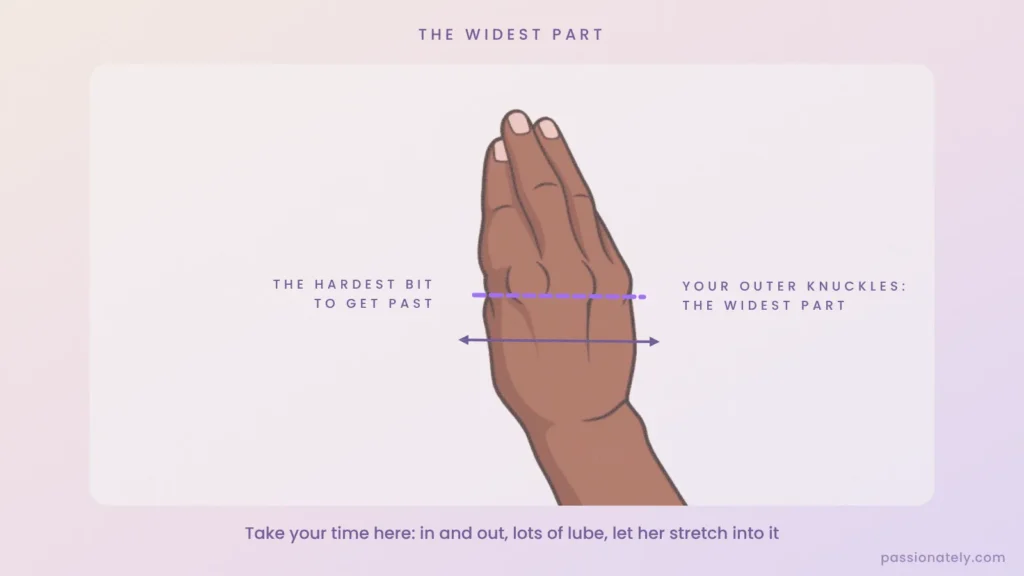 Back of the hand with the outer knuckles marked as the widest part
