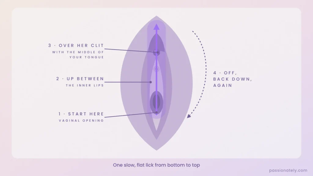 Vulva diagram showing a flat-tongue lick from the vaginal opening, up between the inner lips and over the clitoris