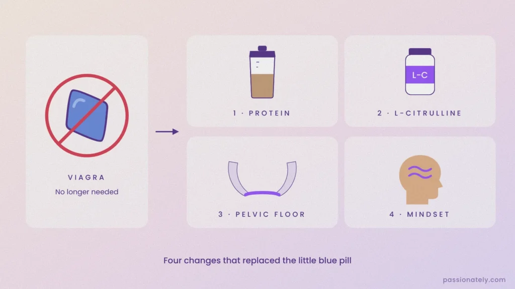 Illustration of four changes that replaced Viagra: protein, L-citrulline, pelvic floor exercises and mindset