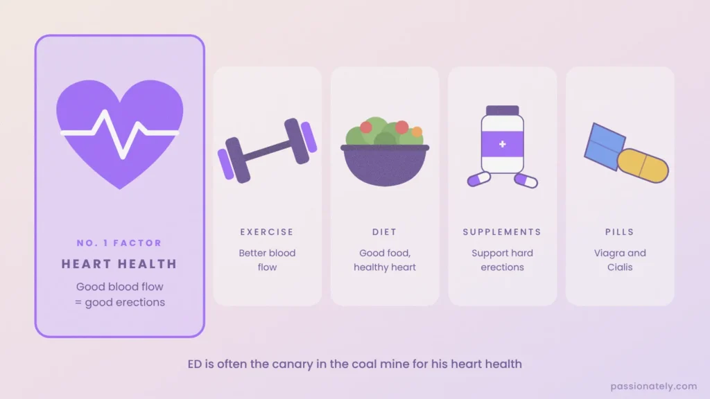 Diagram showing heart health as the number one factor for erections, alongside exercise, diet, supplements and ED pills