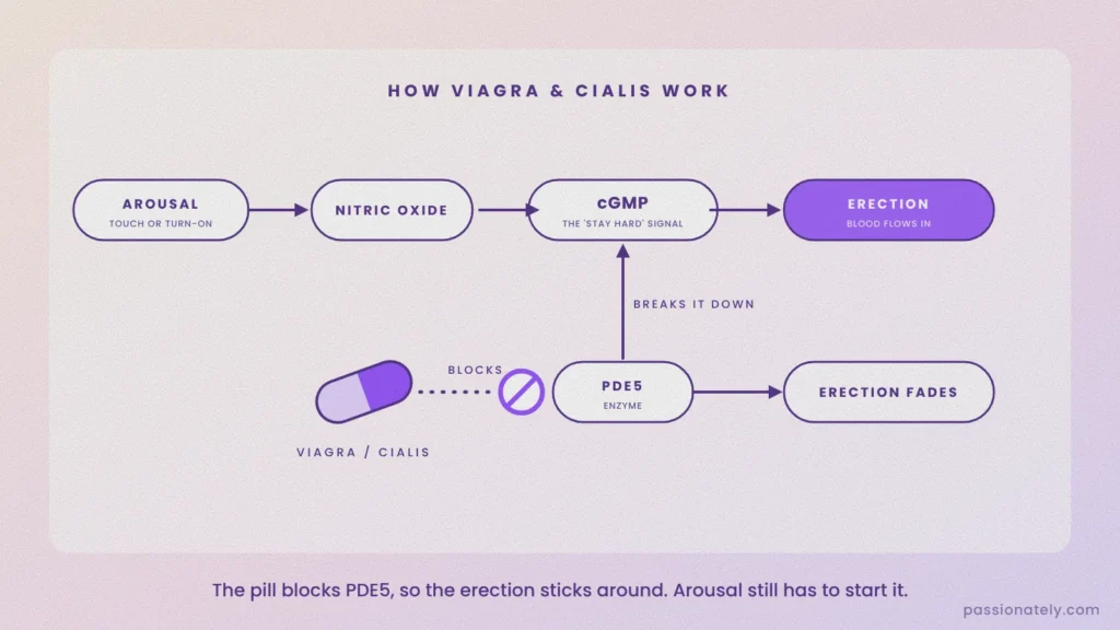 Flow diagram of how PDE5 inhibitors work: arousal, nitric oxide, cGMP, erection, with the pill blocking the PDE5 enzyme that breaks cGMP down