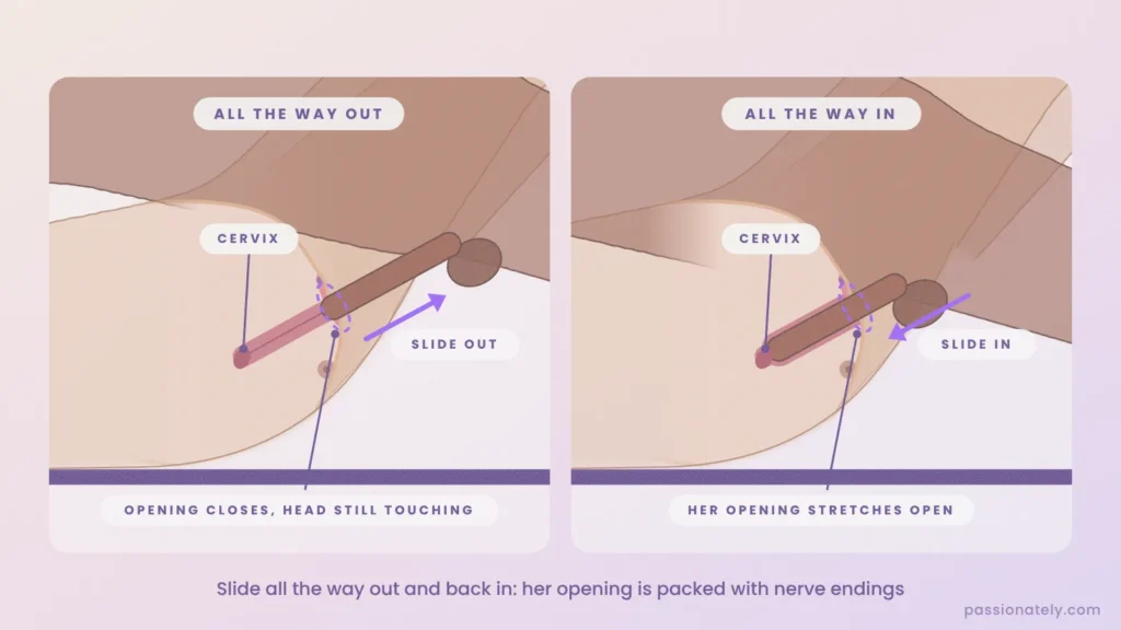 Two cut-through diagrams comparing the penis all the way out at the vaginal opening and all the way in