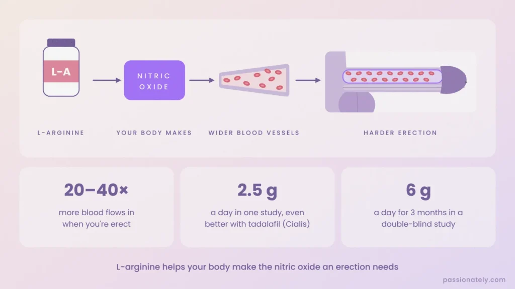 Diagram of L-arginine turning into nitric oxide, widening blood vessels and filling the penis with blood for a harder erection