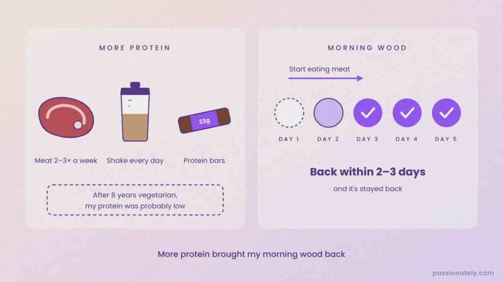 Illustration of protein sources (steak, protein shake, protein bar) and a day tracker showing morning wood returning within 2 to 3 days