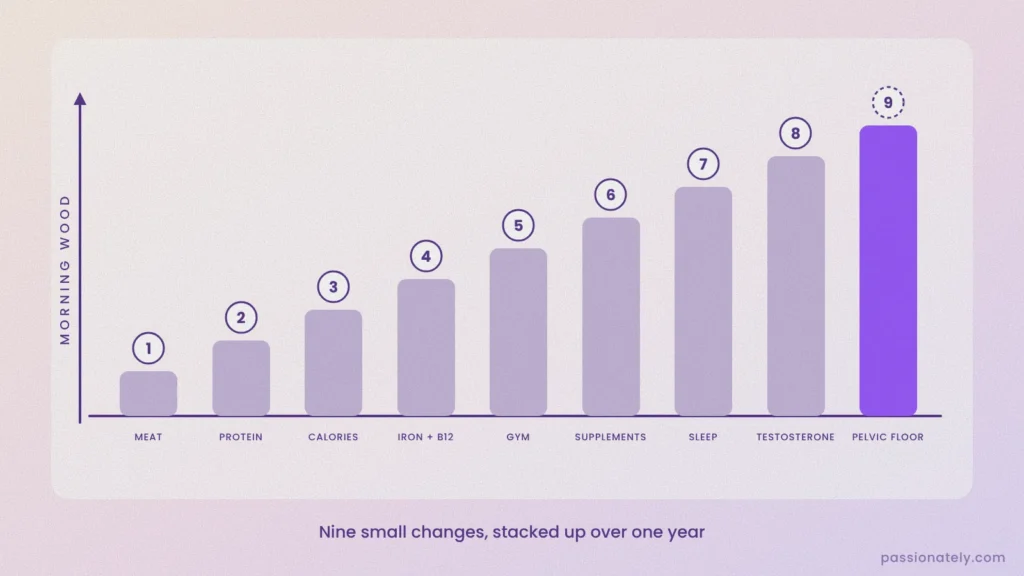 Bar chart of nine lifestyle changes stacking up to bring morning wood back: meat, protein, calories, iron and B12, gym, supplements, sleep, testosterone and pelvic floor