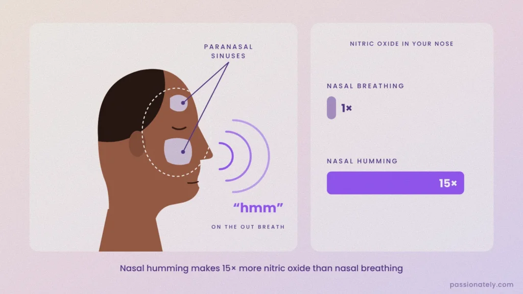 Side view of a head showing the paranasal sinuses and nasal humming, with a chart showing humming makes 15 times more nitric oxide than nasal breathing
