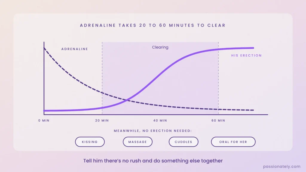 Graph of adrenaline clearing over 20 to 60 minutes while his erection slowly rises