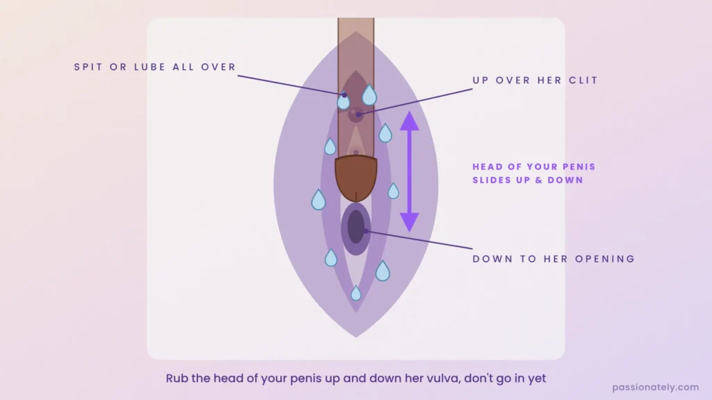 Diagram of the vulva with the head of a penis sliding up and down from the vaginal opening to the clitoris, with spit or lube