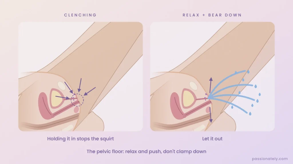 Cross-section illustration comparing clenching the pelvic floor, which stops the squirt, with relaxing and bearing down so squirt comes out of the urethra