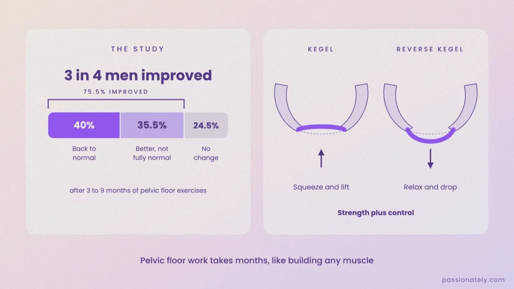 Chart of a pelvic floor study: 40% back to normal erections, 35.5% improved, 24.5% no change, beside Kegel and reverse Kegel diagrams