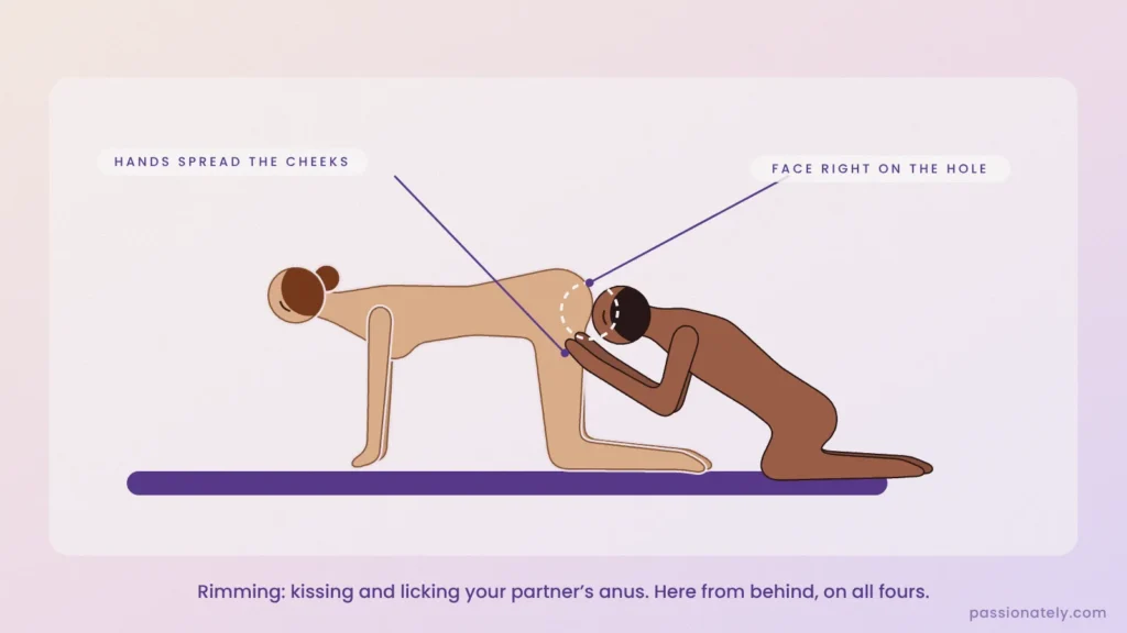 Illustration of rimming from behind, her on all fours, his face on her anus and hands spreading her cheeks