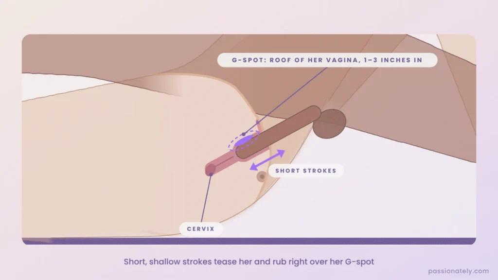 Cut-through diagram of shallow penetration with the penis tip rubbing the G-spot on the roof of the vagina