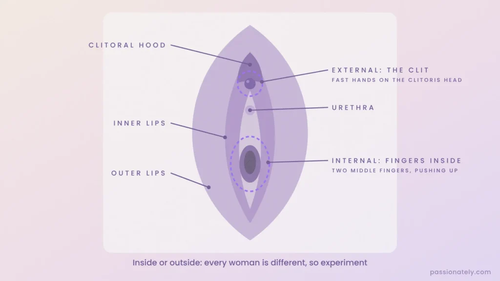 Labelled diagram of the vulva showing the clitoris for external stimulation and the vaginal opening for internal stimulation