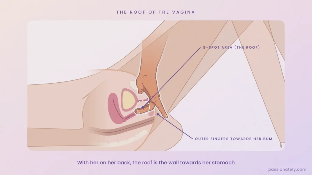 Cross-section with two fingers inside the vagina pressing on the roof, the G-spot area towards her stomach, with the outer fingers pointing towards her bum