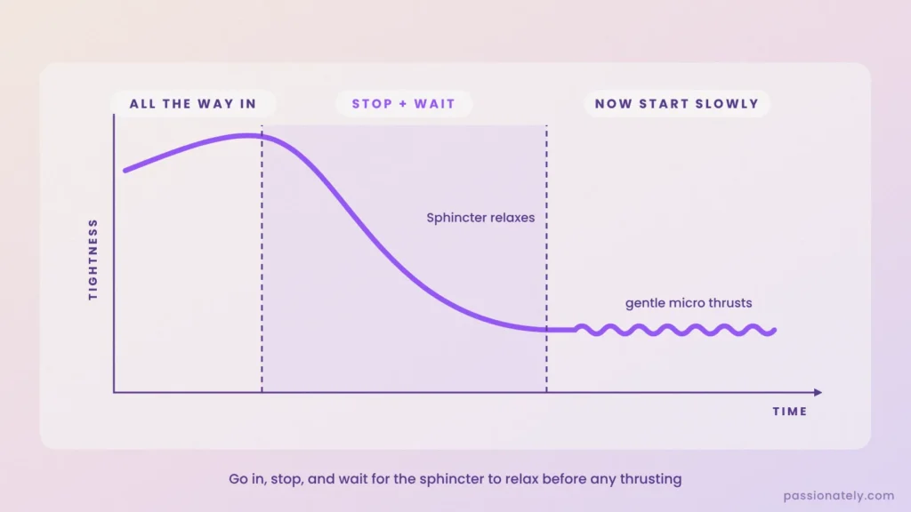 Graph of sphincter tightness dropping while you stop and wait, then gentle micro thrusts