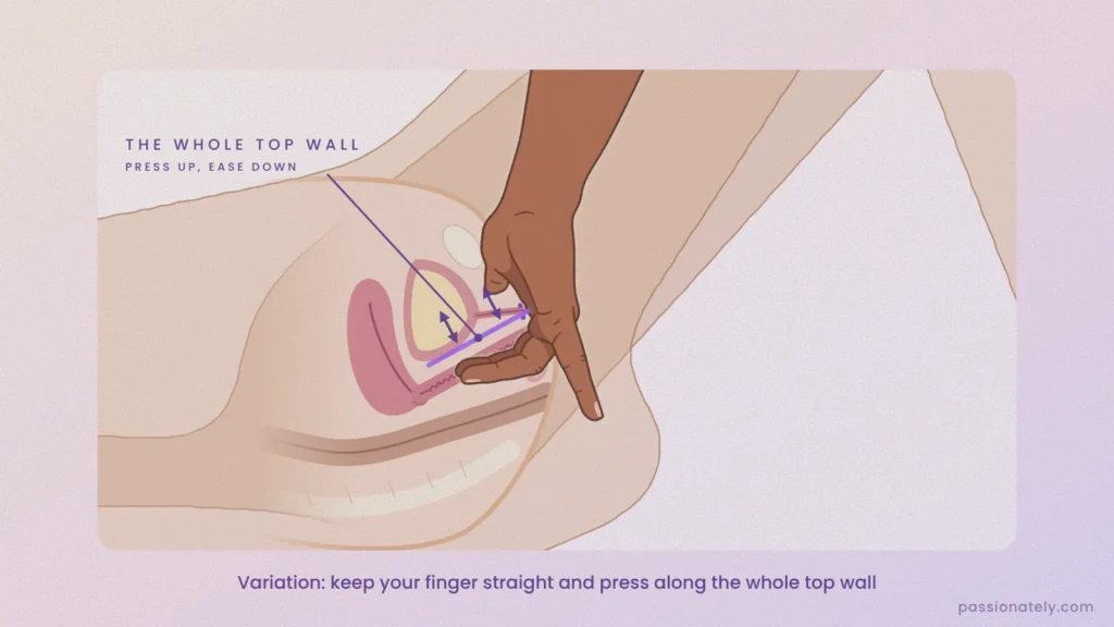 Cross-section illustration of fingers kept straight, pressing along the whole top wall of the vagina