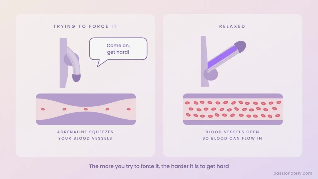 Diagram comparing a soft penis and narrowed blood vessel when stressed with an erect penis and open blood vessel when relaxed