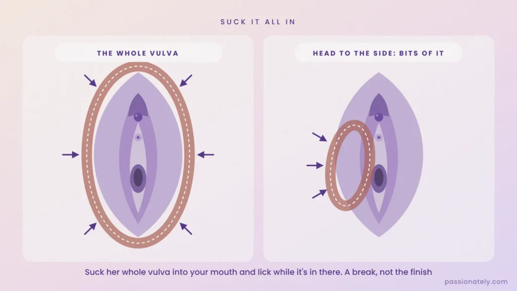 Diagram of the vulva showing sucking the whole vulva into your mouth versus sucking one side with your head turned