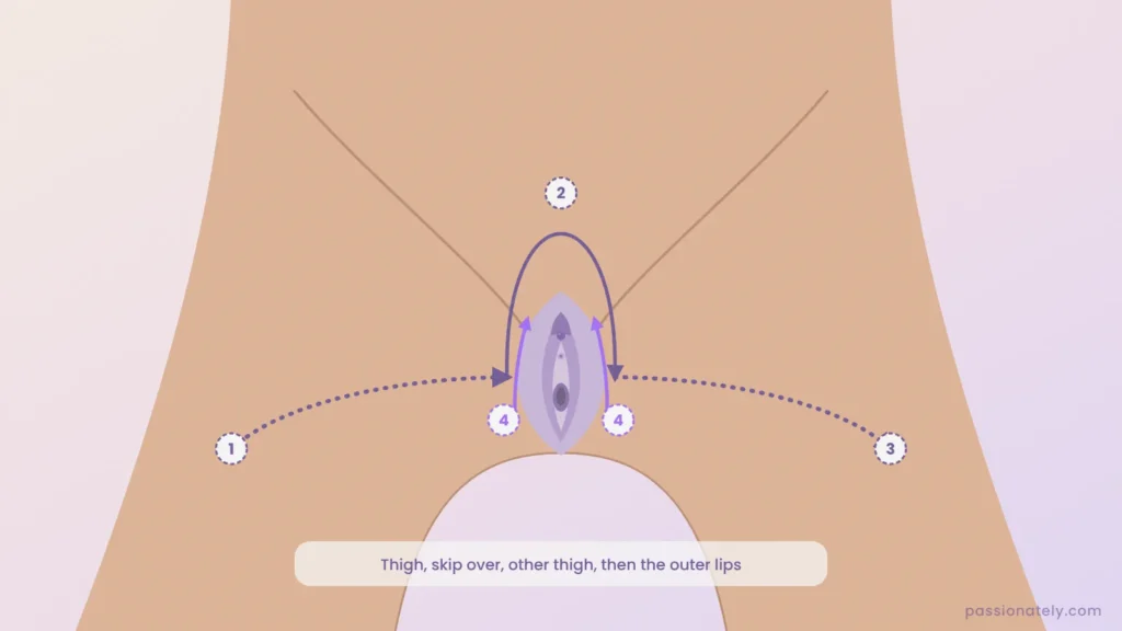 Diagram of the teasing path: one thigh, skip over the vulva, the other thigh, then the outer lips