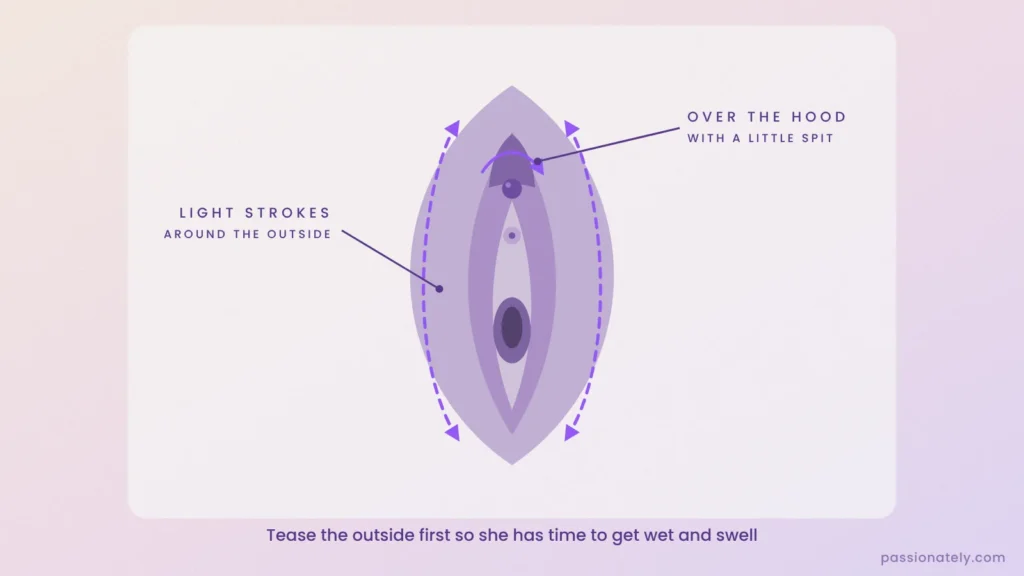 Diagram of light teasing strokes around the outside of the vulva and over the clitoral hood