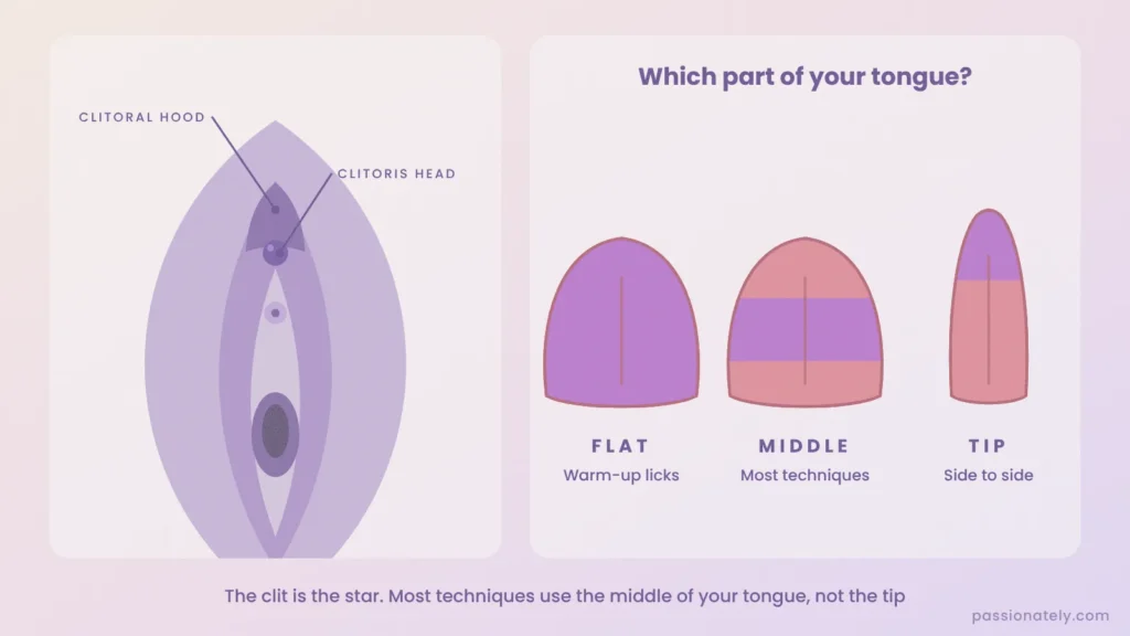 Labelled diagram of the vulva showing the clitoral hood and clitoris head, next to three tongues showing the flat tongue, the middle of the tongue and the tip