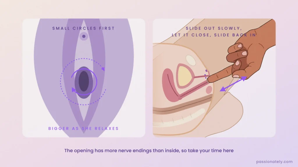 Diagram of small circles around the vaginal opening getting bigger, and a finger sliding slowly in and out