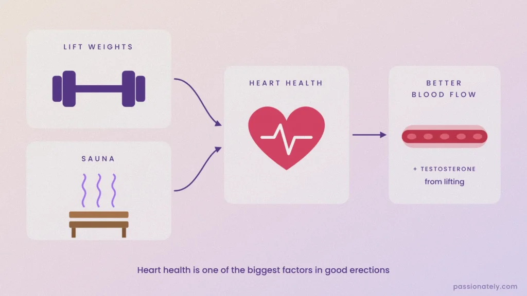 Lifting weights and the sauna improve heart health, which improves blood flow