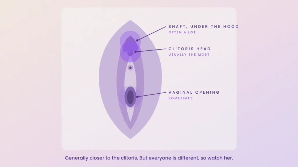 Vulva diagram showing where she usually responds most: the clitoris head and shaft, sometimes the vaginal opening