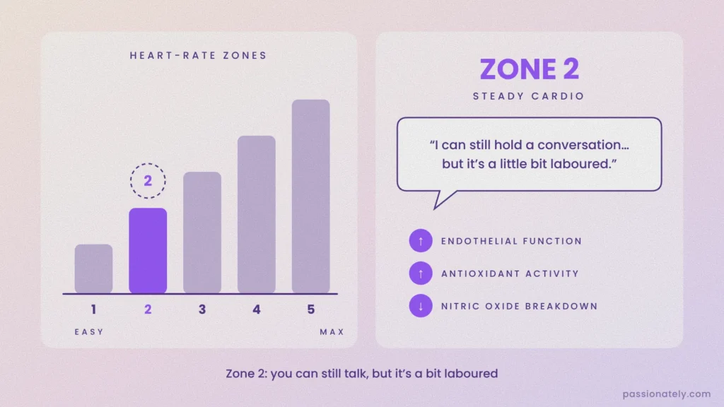 Chart of heart-rate zones 1 to 5 with zone 2 highlighted, steady cardio where you can still hold a conversation